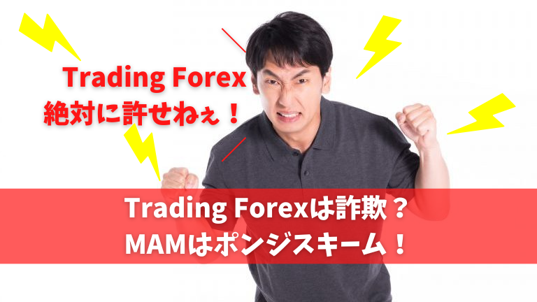 Trading Forexは詐欺で評判がヤバイ！MAMはポンジスキーム？